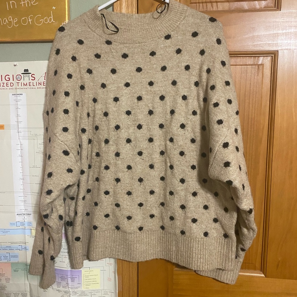 H&M Tan and Black Polka Dot Sweater